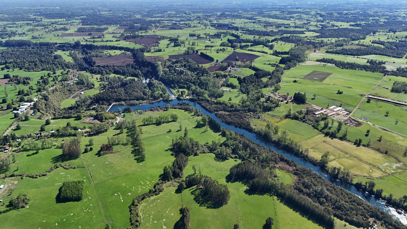 Río entre praderas y bosque